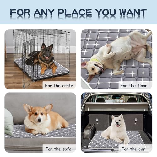 Dog Crate Mat (Gray / 42.0"L x 28.0"W)