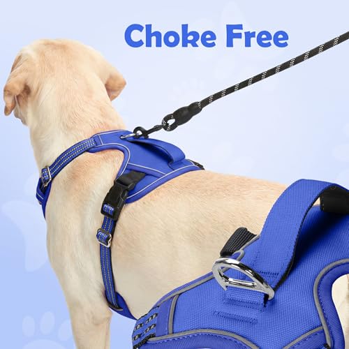Dog Harness No Pull (Blue / Small)