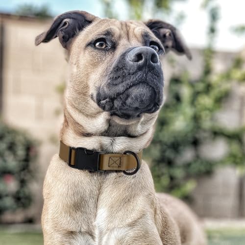 Biothane Waterproof Dog Collar with Quick Release Buckle Strong Coated Nylon Webbing with Odor (3/4"W by 12-19"L / Coyote Brown)