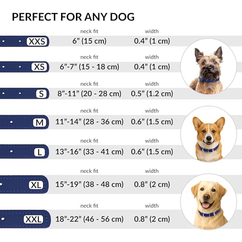 Tangle Free Rolled Leather Dog Collar (Deep Blue / L)