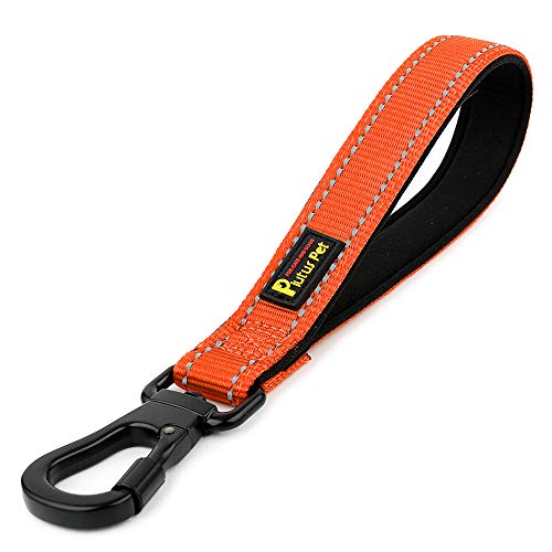 10” Short Dog Leash (Orange / 10 Inch (Pack of 1))