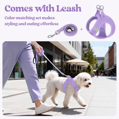 Dog Harness Small Sized and Leash Set (Light Purple / Xs (chest: 13.3 - 15.5"))