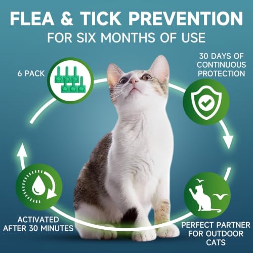 Cat Flea Treatment