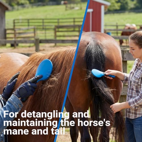 13 Piece Horse Grooming Kit (Blue)