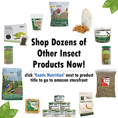 Canned Mealworms