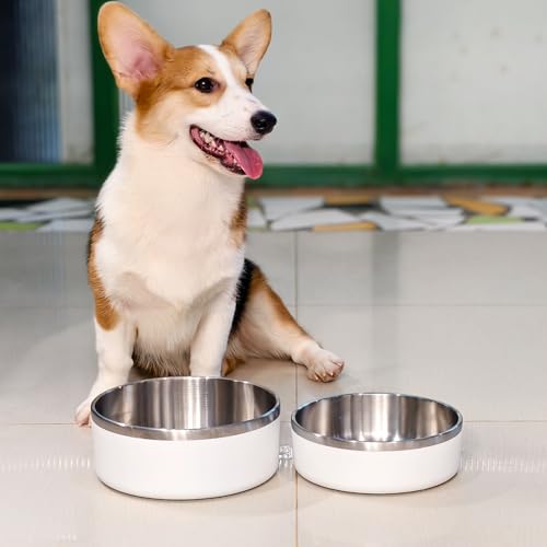 Stainless Steel Dog Bowls (Medium / White)