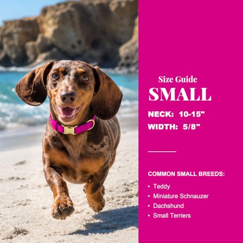 Soft Padded Dog Collar for Small Dogs (Rose Purple / S：Fit 10-15" Neck, Width ⅝")