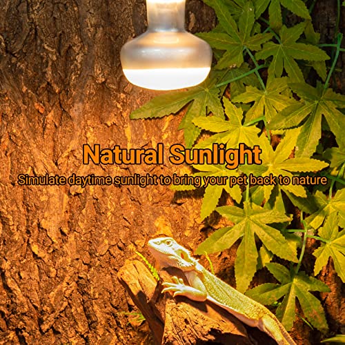 2 Pack Heat Lamp 75W (Natural Basking Light Bulb 75W)