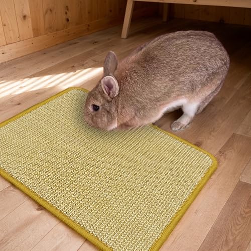 Bunny Scratch Pad (1PC)