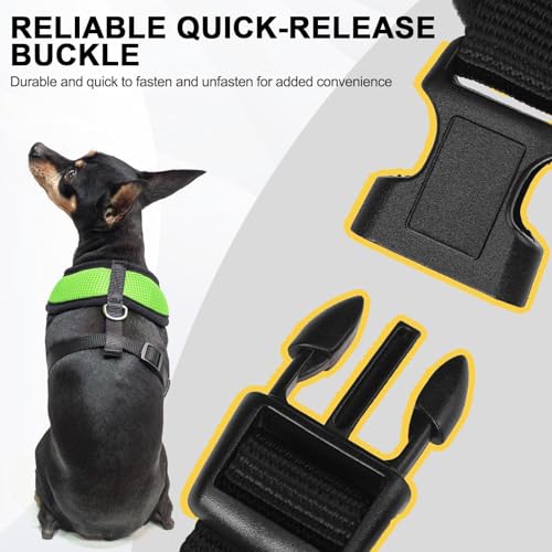 Small Dog Harness (XS (NECK: 10", CHEST: 10"-14") / Green)
