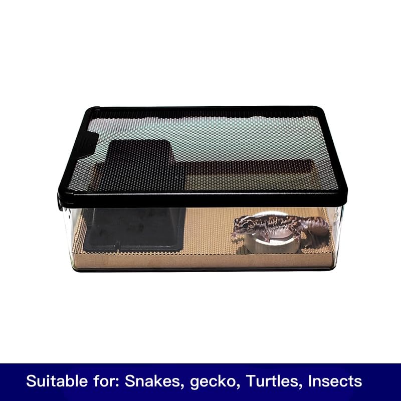 Reptile Feeding Box Clear Terrarium for Geckos