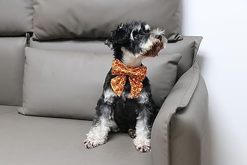 Halloween Dog Collar with Bowtie (Medium (Pack of 1) / C:Funny Pumpkin)