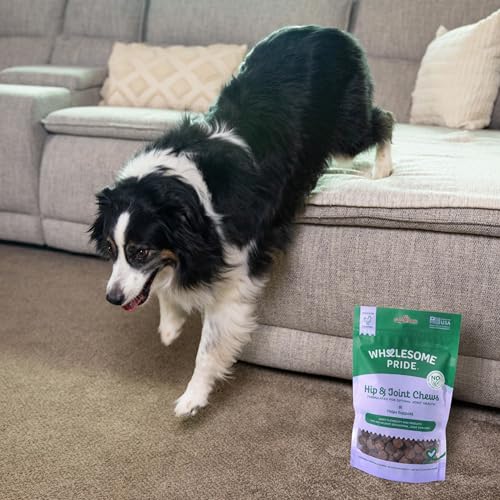 Hip and Joint Chews for Dogs (7.9 Ounce (Pack of 1))