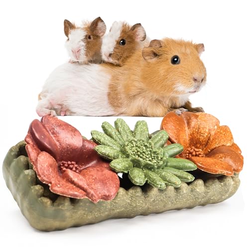 Guinea Pig Chew Toys (4PCS-Grass Patch & Flowers)