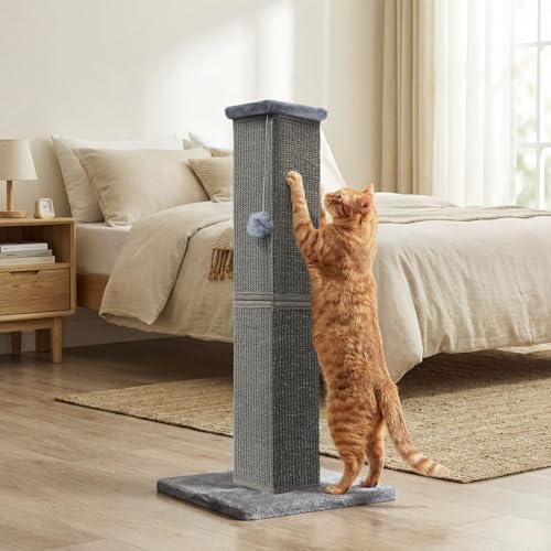 Cat Scratching Post for Indoor Cat (Dark Grey)