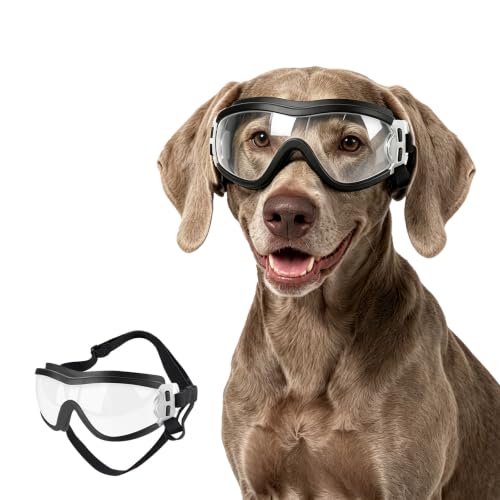 Dog Goggles Large Breed Windproof Anti (Large / Clear)