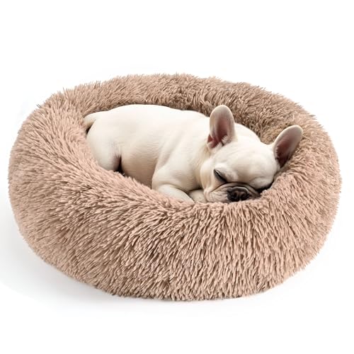 Dog Beds Large Sized Dog and Cats (Camel / 32.0"L x 32.0"W x 8.0"Th)