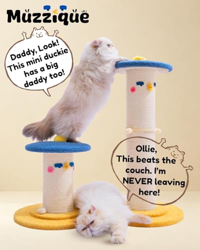 Cute Cat Scratching Post