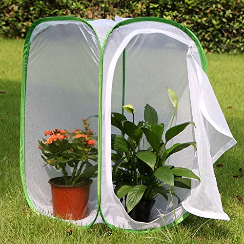 Insect and Butterfly Habitat Cage Terrarium Pop (White With Green / 15.7 x 15.7 x 23.6 inches)