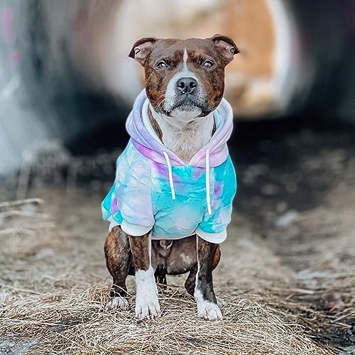 Dog Hoodie Buttery (90s Retro Sky Dye / Medium)