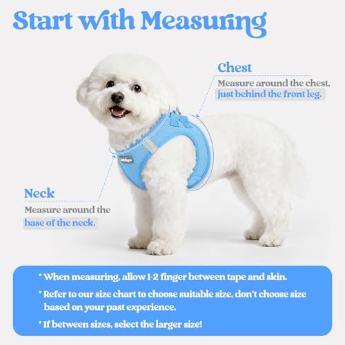 Dog Harness Medium Sized and Leash Set (Blue / L (chest: 18.2 - 20.5"))