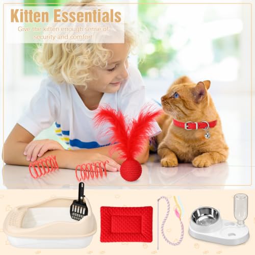 10 Pcs Kitten Starter Kit for Indoor (Classic / Small / Red)