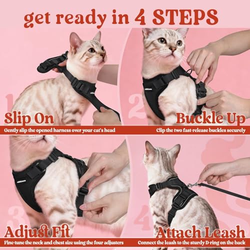 Cat Harness and Leash Set (M / Black)