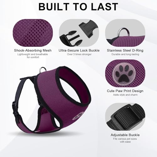 Small Dog Harness (S (NECK: 12", CHEST: 14"-18") / Purple)