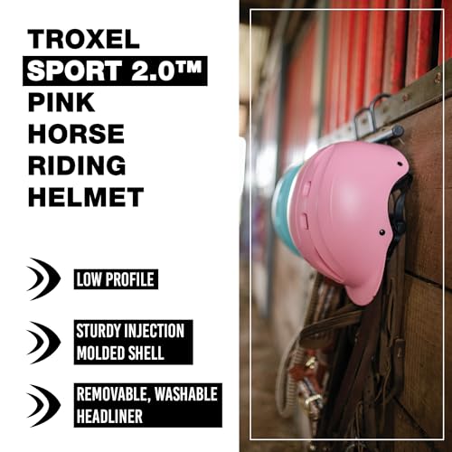 Sport 2.0 Injection Molded Horse Riding Helmet (Pink / Small)