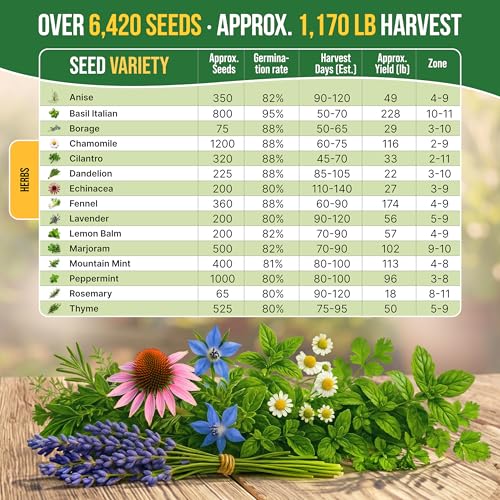 15 Medicinal & Tea Herb Seeds Variety Pack 6