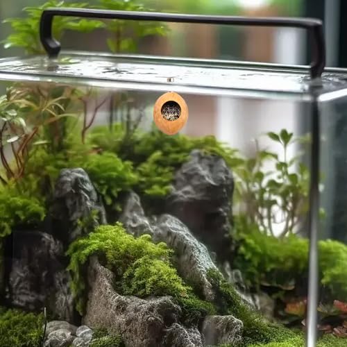 2 Pack Jumping Spider Enclosure Accessories with Walnut Shell Moss and Magnet