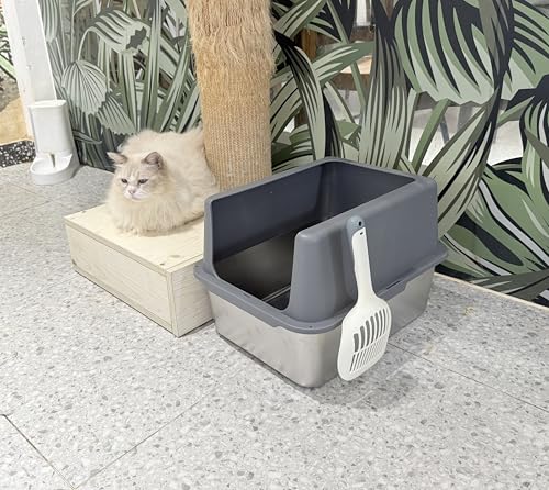 Litter Box with Lid (12" High / Grey)