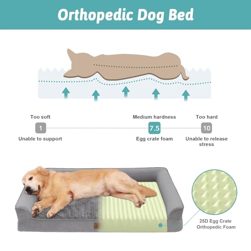Orthopedic Dog Bed for Extra Large Dogs (Grey / XXL:48x32x7.5 inch)