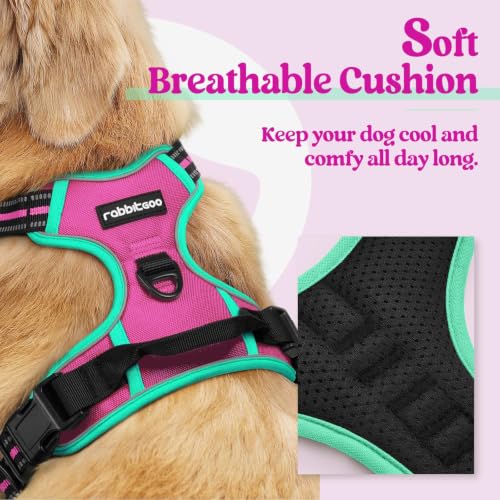 Dog Harness No Pull for Large Dogs with 2 Leash Clips (X-Large / Hot Pink & Turquoise)