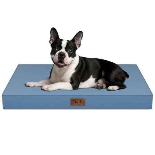 Orthopedic Waterproof Dog Bed for Small Dogs and Cats (Blue / 29.0"L x 18.0"W x 3.0"Th)