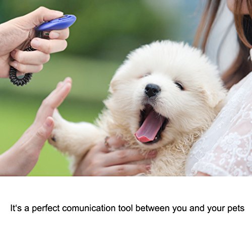 Dog Clicker 4 Pcs Multi (Black & Yellow & Red & Blue)