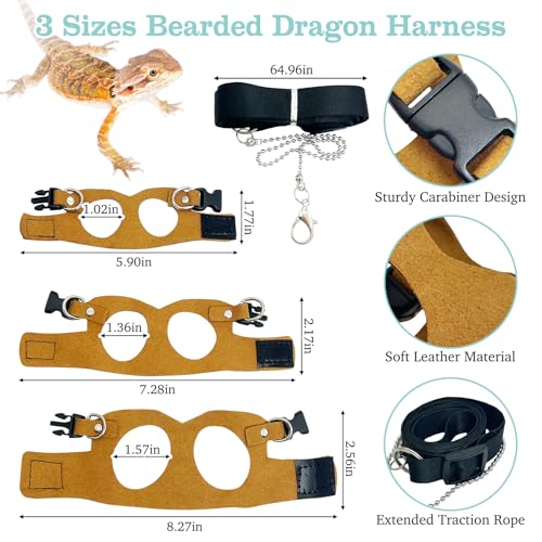 Bearded Dragon Carrier Backpack with Harness and Leash Set Large Reptile Travel Carrier Portable Lizard Backpack Clear Bubble Window Small Animal Carrying Bag for Gecko Kitten Rabbit (Gray)