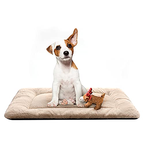 Dog Crate Pad Washable Dog Bed for Crate Medium Cozy Mat 30 (30.0"L x 19.0"W x 1.0"Th / cream)