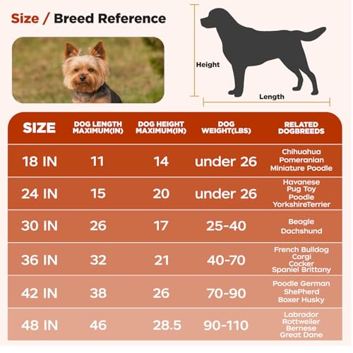 Dog Crate 24" (Black-Single)