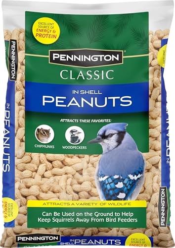 Classic in Shell Peanuts 5 pounds (5 Pound (Pack of 1))