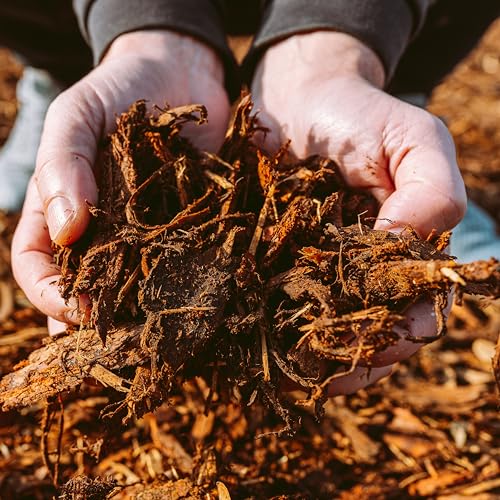 Premium Gold Wood Mulch for Landscaping (1 CF - 28 L - 30 QTS / Gold Wood Mulch)