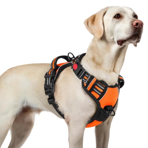 Dog Harness for Large (Large / Orange)