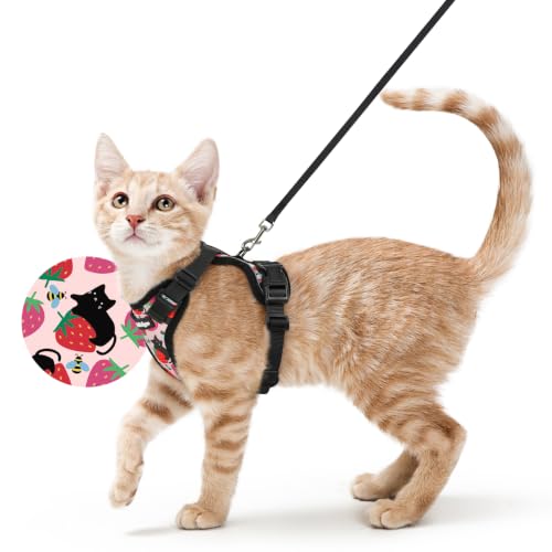 Cat Harness and Leash Set (S / Berry Pounce)