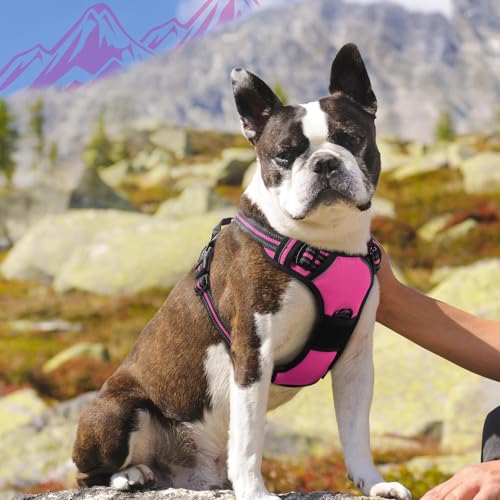 Dog Harness for Medium Sized Dogs (Medium / Rose Red)