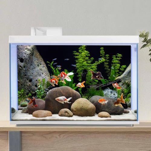 Vinyl Underwater Aquatic Plant Fish Tank Background Stone River Bed & Lake Aquarium Background 30x12 inches (30x12in/75x30cm)