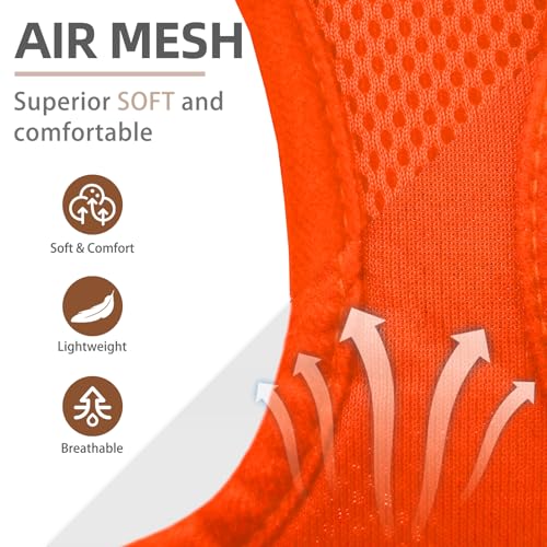 Dog Harness Collar and Leash Set No Pull for Small Medium Sized (Solid Orange / M (CHEST 16"-18"))