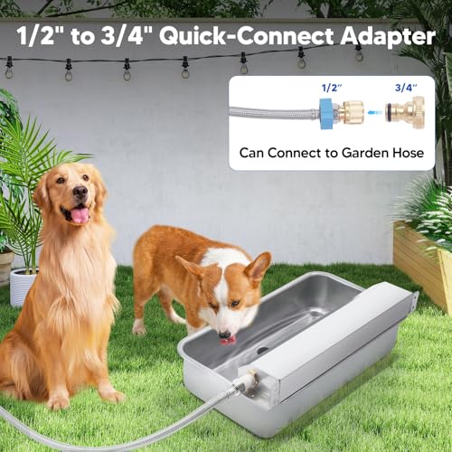 Automatic Water Dispenser for Dog (6L)