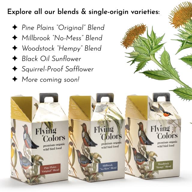 Premium Organic Wild Bird Seed