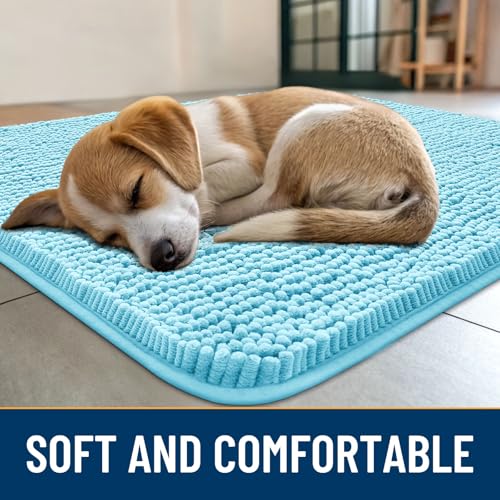 Dog Door Mat for Muddy Paws 54x32 (Sky Blue / 54"X32")