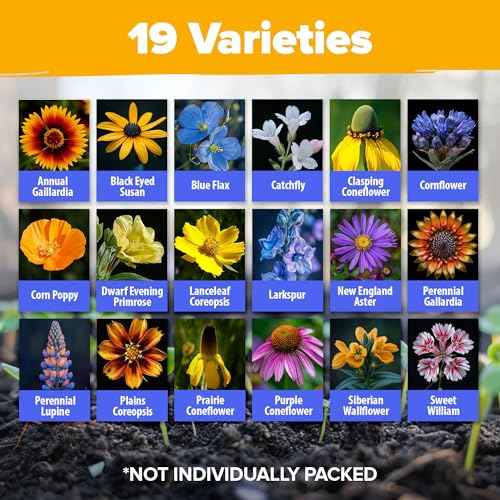 Midwest Wildflower Mix 65